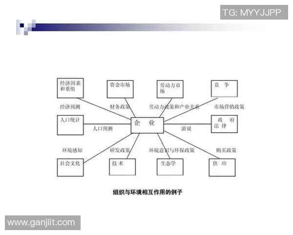 残酷竞争时代下企业生存法则与战略应对分析